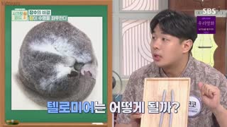 SBS 썸네일